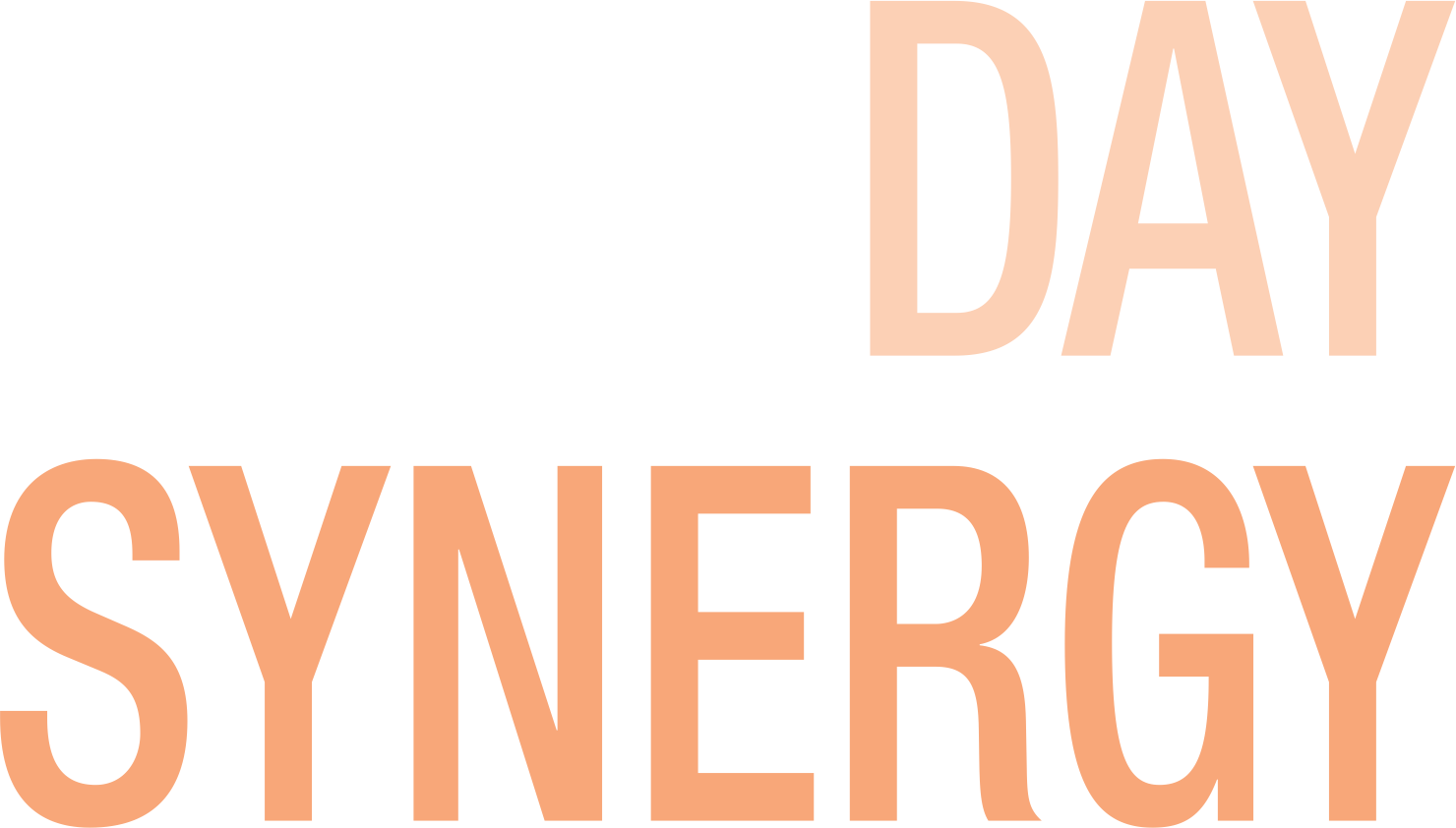 Day Synergy